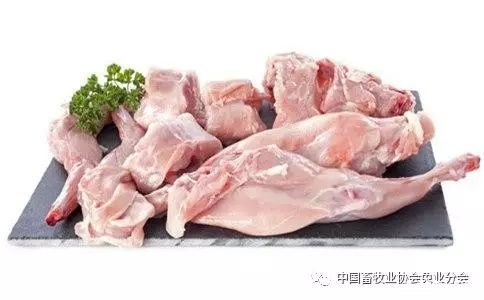 兔肉的功效与作用禁忌