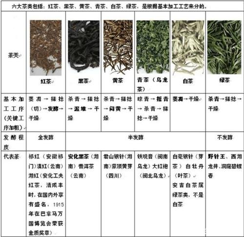 福建白茶的功效与作用及禁忌