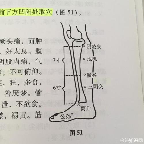 阴陵泉的功效与作用