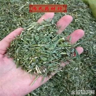 柴胡草的功效与作用