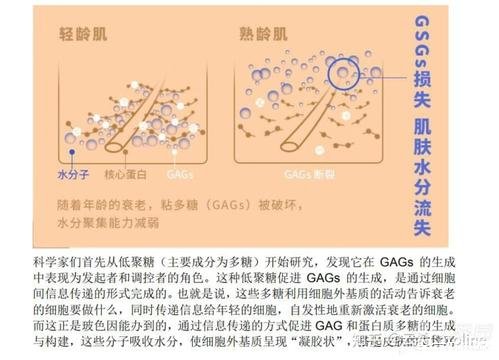 玻色因的功效与作用