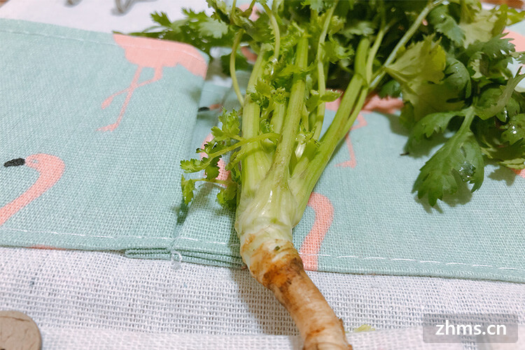 香菜种植方法