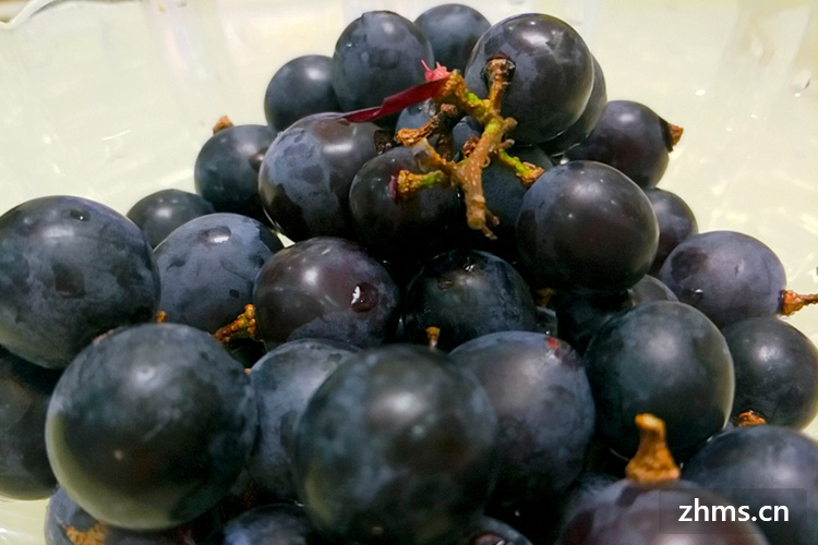 葡萄如何保鲜储存