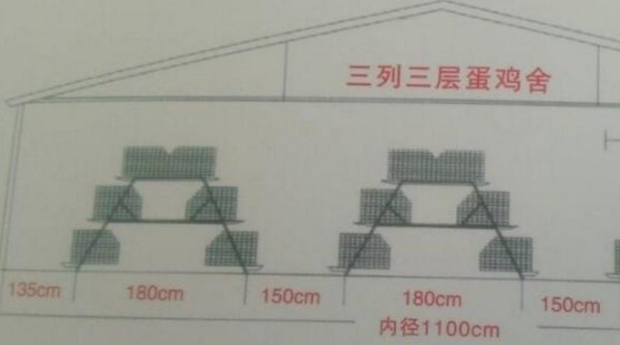 最新三层鸡舍设计图