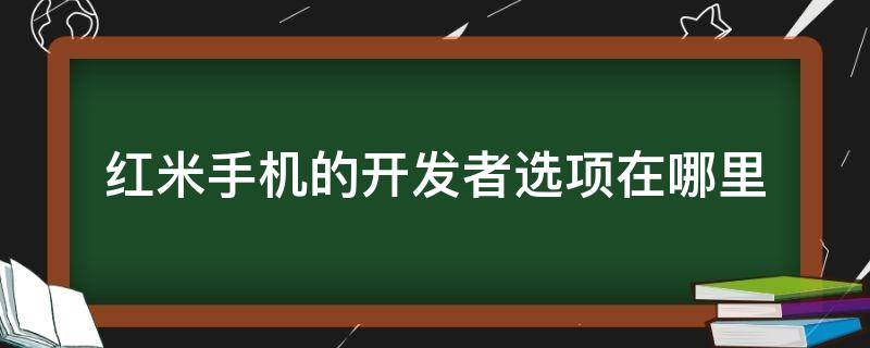 红米手机的开发者选项在哪里