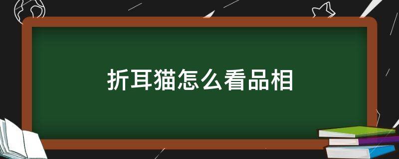 折耳猫怎么看品相