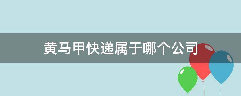 黄马甲快递属于哪个公司