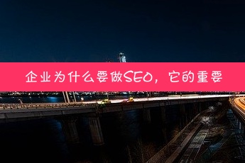 企业为什么要做SEO，它的重要性有哪些？#seo