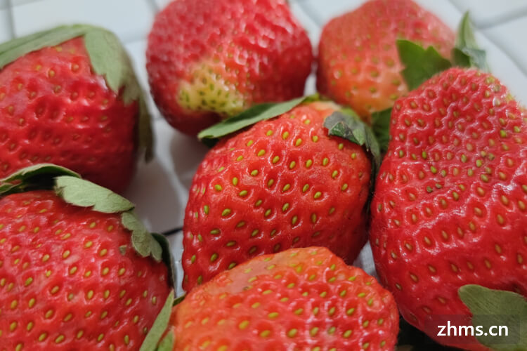 草莓清洗可以用小苏打