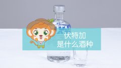 伏特加是什么酒种？