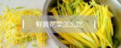 鲜黄花菜怎么吃（鲜黄花菜的吃法）