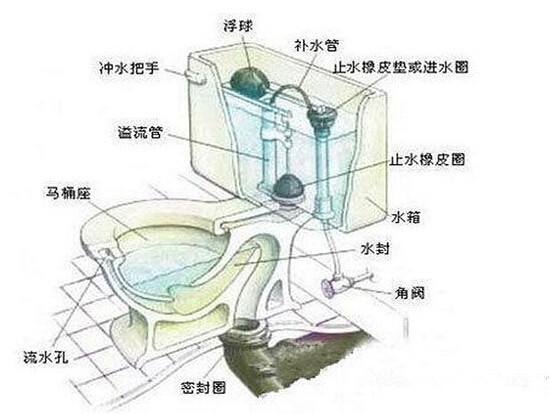 蹲式马桶好不好(蹲式马桶结构图)