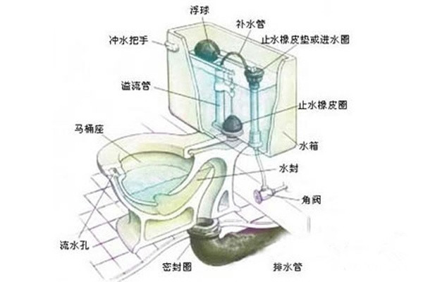 抽水马桶结构图及解决马桶堵塞方法