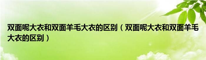 双面呢大衣和双面羊毛大衣的区别（双面呢大衣和双面羊毛大衣的区别）