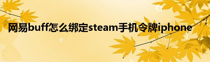 网易buff怎么绑定steam手机令牌iphone