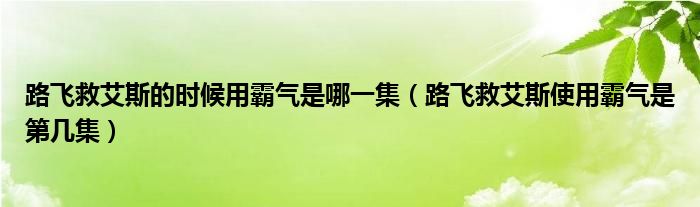 路飞救艾斯的时候用霸气是哪一集（路飞救艾斯使用霸气是第几集）