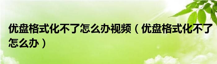 优盘格式化不了怎么办视频（优盘格式化不了怎么办）