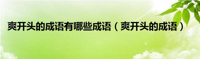 爽开头的成语有哪些成语（爽开头的成语）