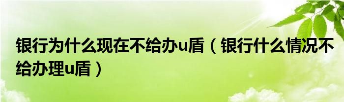 银行为什么现在不给办u盾（银行什么情况不给办理u盾）