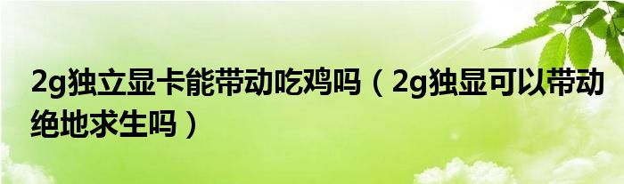 2g独立显卡能带动吃鸡吗（2g独显可以带动绝地求生吗）