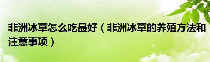 非洲冰草怎么吃最好（非洲冰草的养殖方法和注意事项）