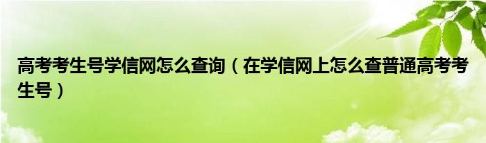 高考考生号学信网怎么查询（在学信网上怎么查普通高考考生号）