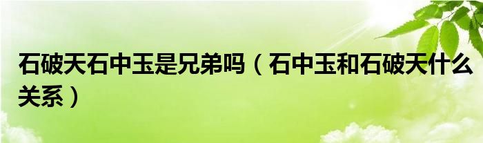 石破天石中玉是兄弟吗（石中玉和石破天什么关系）