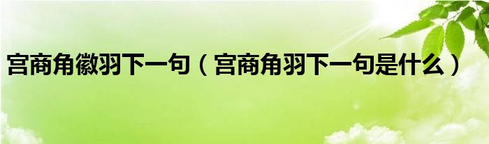 宫商角徽羽下一句（宫商角羽下一句是什么）