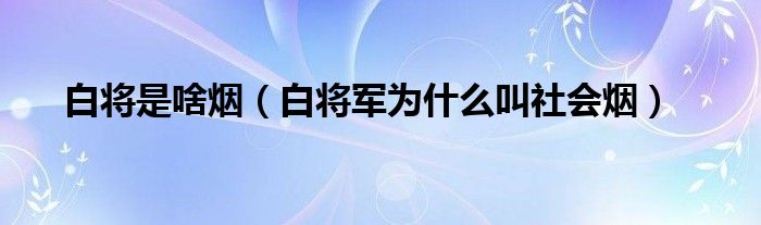 白将是啥烟（白将军为什么叫社会烟）