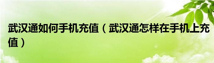 武汉通如何手机充值（武汉通怎样在手机上充值）