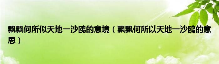 飘飘何所似天地一沙鸥的意境（飘飘何所以天地一沙鸥的意思）