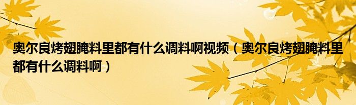 奥尔良烤翅腌料里都有什么调料啊视频（奥尔良烤翅腌料里都有什么调料啊）