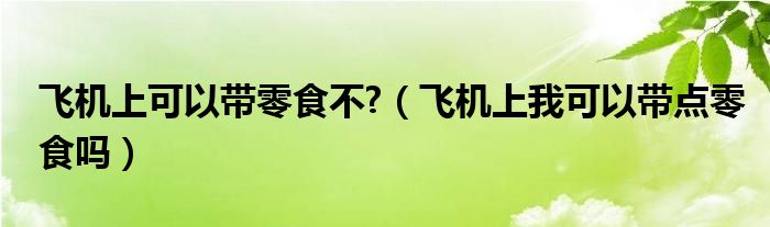 飞机上可以带零食不?（飞机上我可以带点零食吗）