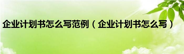 企业计划书怎么写范例（企业计划书怎么写）