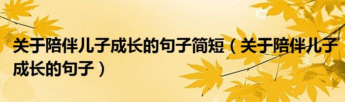 关于陪伴儿子成长的句子简短（关于陪伴儿子成长的句子）