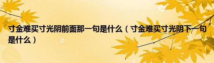 寸金难买寸光阴前面那一句是什么（寸金难买寸光阴下一句是什么）