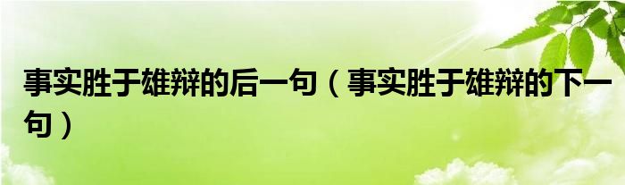 事实胜于雄辩的后一句（事实胜于雄辩的下一句）