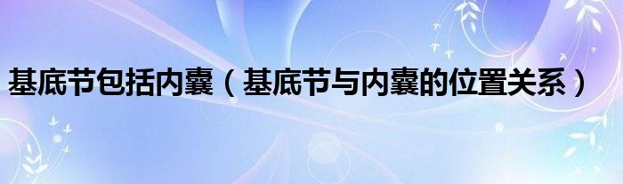 基底节包括内囊（基底节与内囊的位置关系）