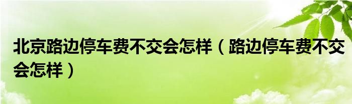 北京路边停车费不交会怎样（路边停车费不交会怎样）