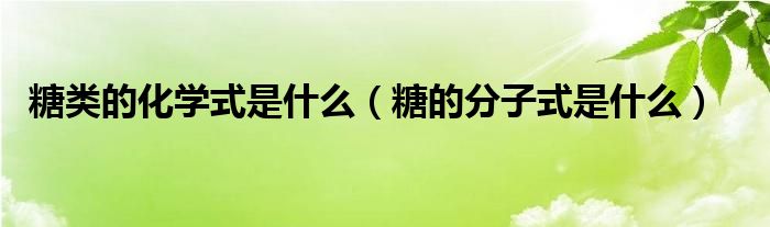 糖类的化学式是什么（糖的分子式是什么）