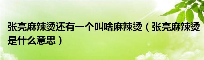 张亮麻辣烫还有一个叫啥麻辣烫（张亮麻辣烫是什么意思）