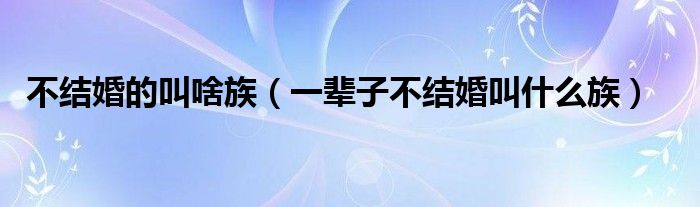 不结婚的叫啥族（一辈子不结婚叫什么族）