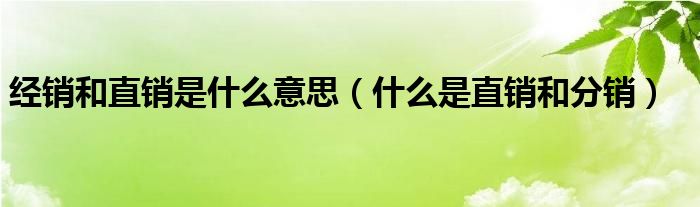 经销和直销是什么意思（什么是直销和分销）