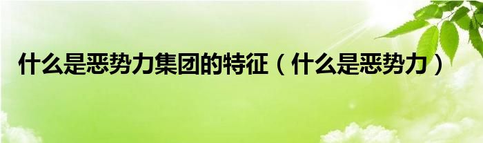 什么是恶势力集团的特征（什么是恶势力）