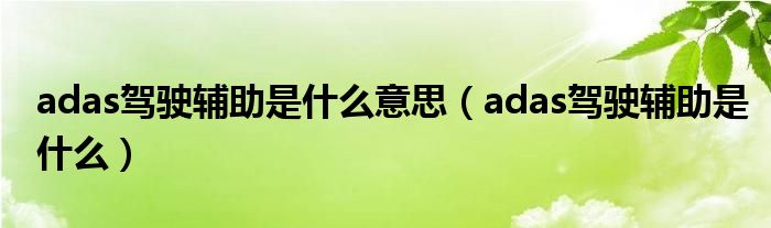 adas驾驶辅助是什么意思（adas驾驶辅助是什么）