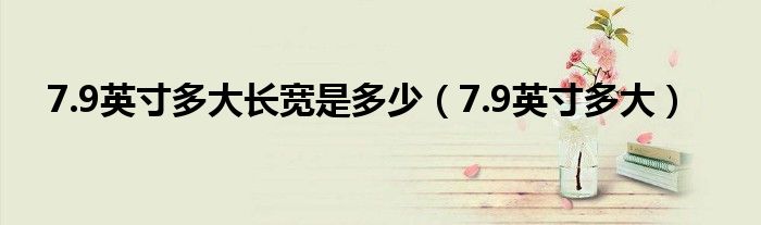 7.9英寸多大长宽是多少（7.9英寸多大）