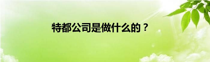 特都公司是做什么的？