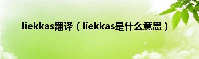 liekkas翻译（liekkas是什么意思）