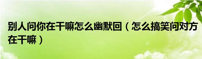 别人问你在干嘛怎么幽默回（怎么搞笑问对方在干嘛）