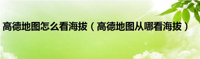 高德地图怎么看海拔（高德地图从哪看海拔）